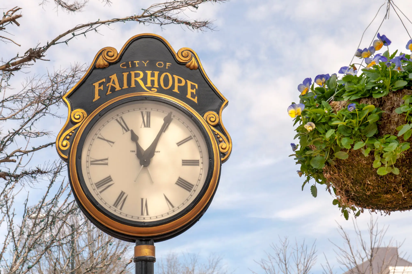 Fairehope Image